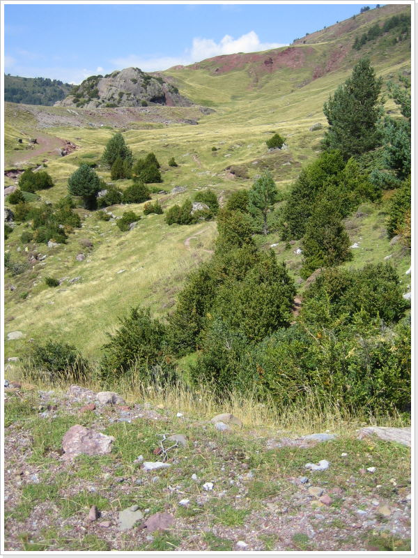 Landschaft am Beginn des Pilgerwegs